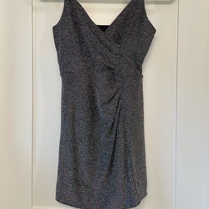 Express Sparkle Dress